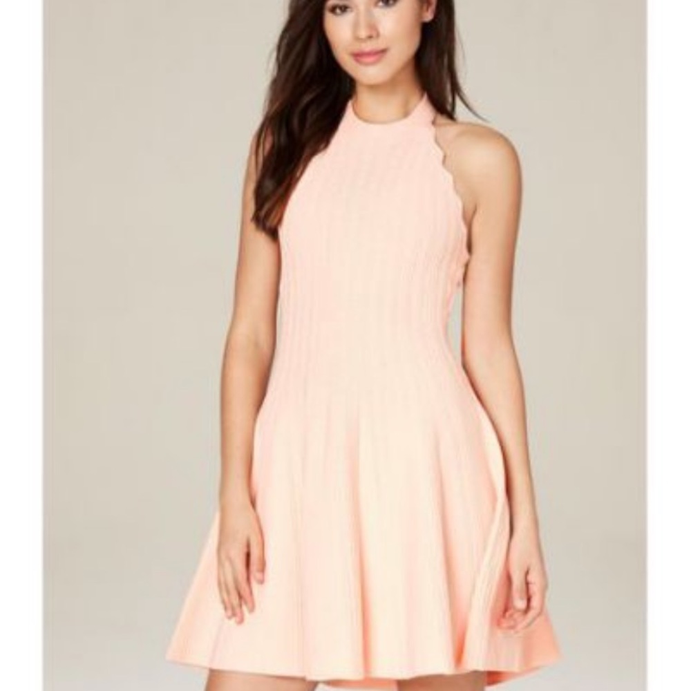 Bebe’s never worn scallop trim halter dress